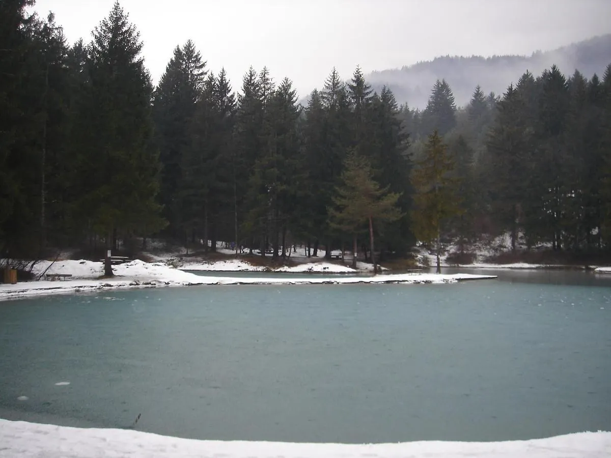 Margiola Dolomiti Διαμέρισμα Calalzo di Cadore