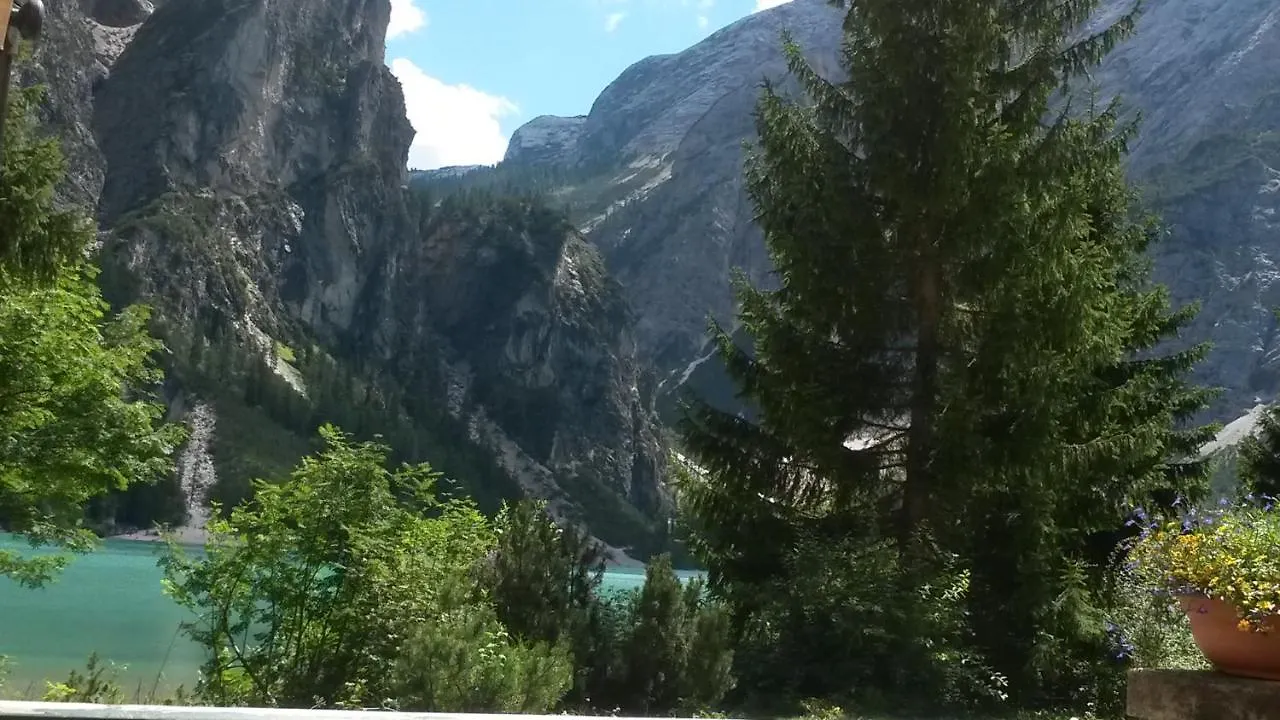 Margiola Dolomiti Διαμέρισμα Calalzo di Cadore